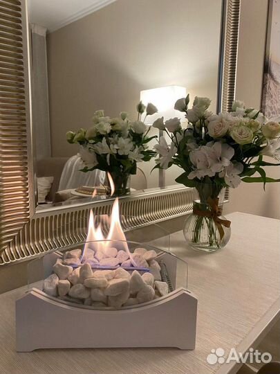 Новый биокамин