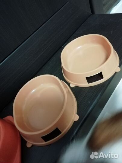 Ошейник для маленькой собаки