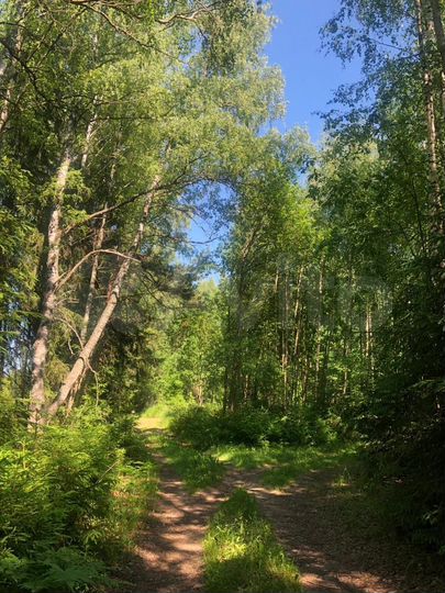 Участок 10 сот. (СНТ, ДНП)