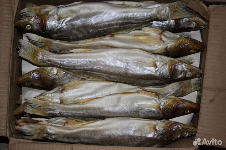 Продается вяленая рыба домашнего посола