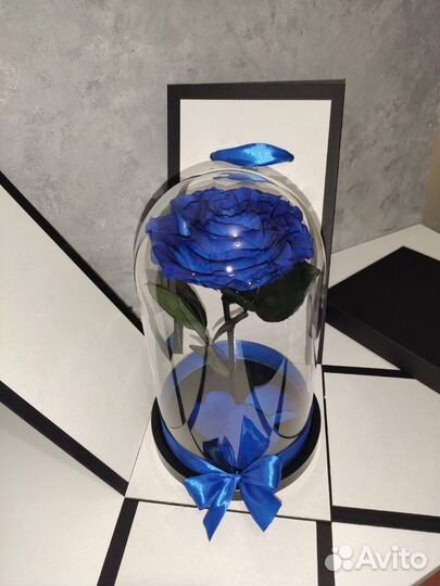 Синяя роза в колбе