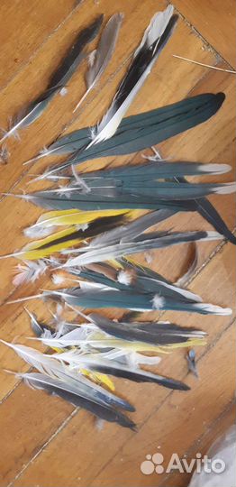 Перья для рукоделия