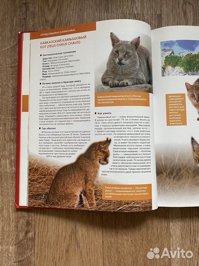 Красная книга России