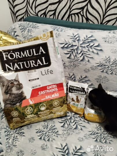 Сухой корм для стерилизованных кошек