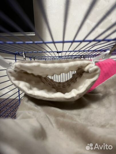 Гамак труба для крыс, белок и дегу