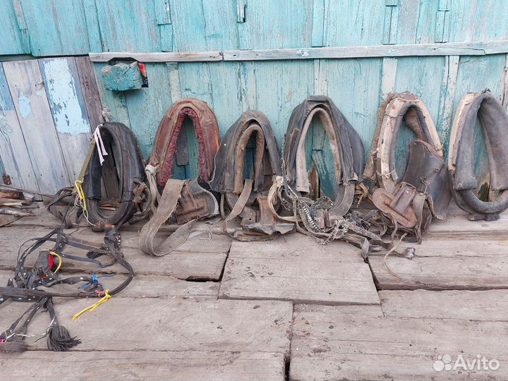 Конная амуниция