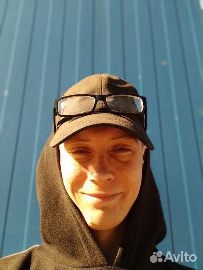 Сотрудник в приют для собак