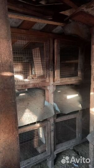 Клетка для кролика