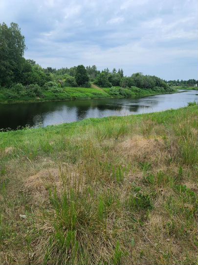 Участок 15 сот. (СНТ, ДНП)