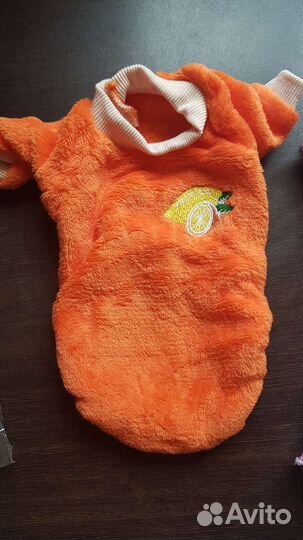 Одежда для маленьких собак