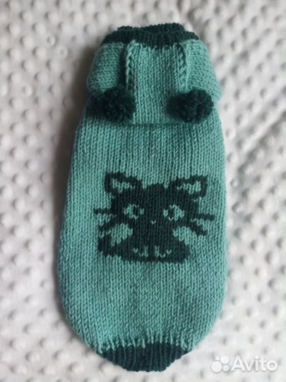 Одежда для животных