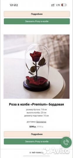 Вечная роза в колбе