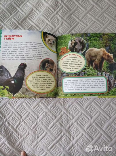 Энциклопедия для детей