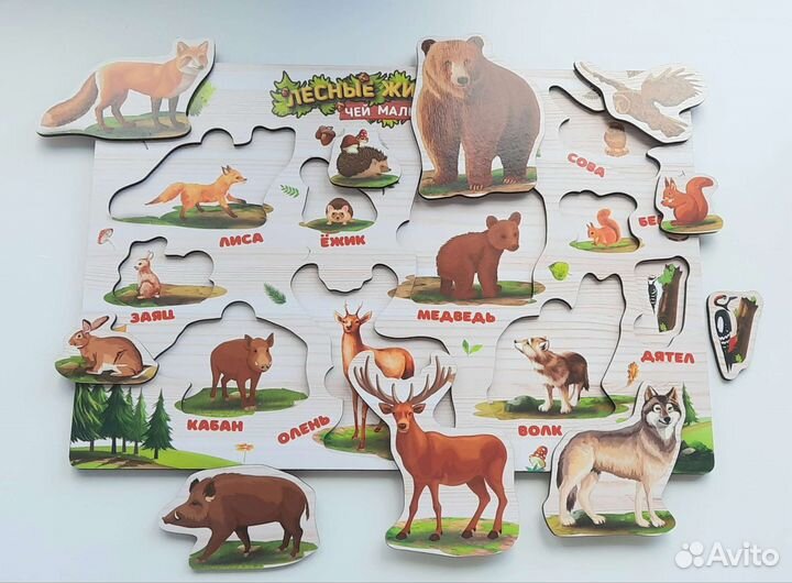 Рамки вкладыши