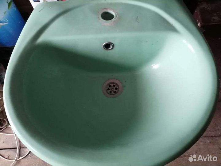 Раковина тюльпан