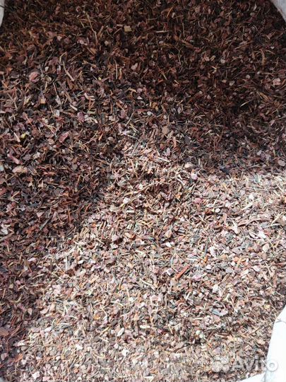 Красная щётка целая и дробленная