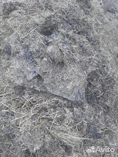 Навоз козий