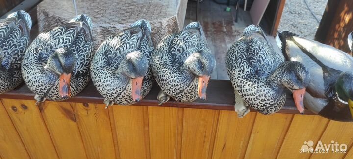 Чучела утиные