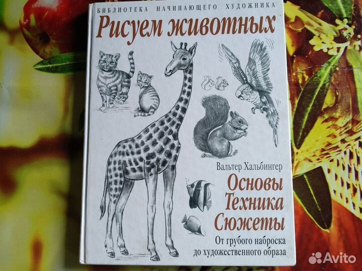 Для начинающих художников