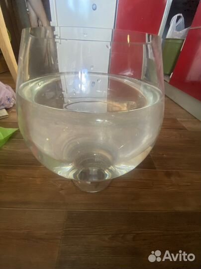 Аквариум Бокал 8 литров