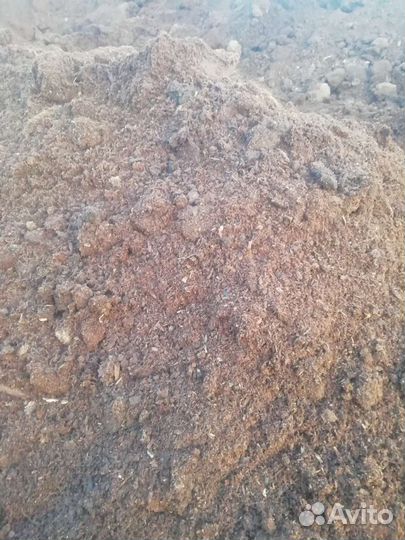 Перегной навоз