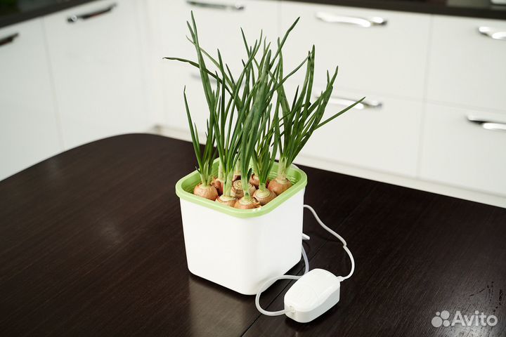 Проращиватель Здоровья клад «Аэросад»