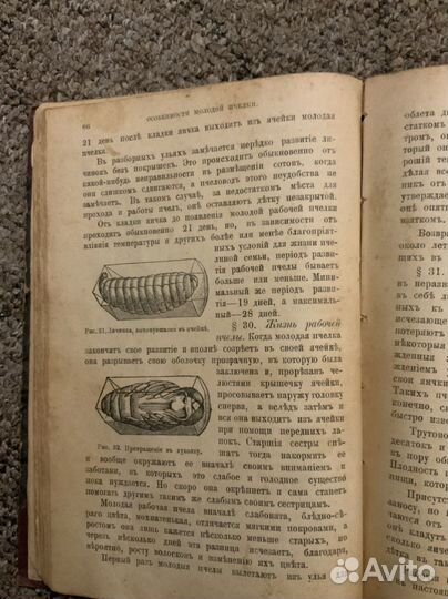 Атиквар.книга 1910г Кунахович Пчела и пчеловодство
