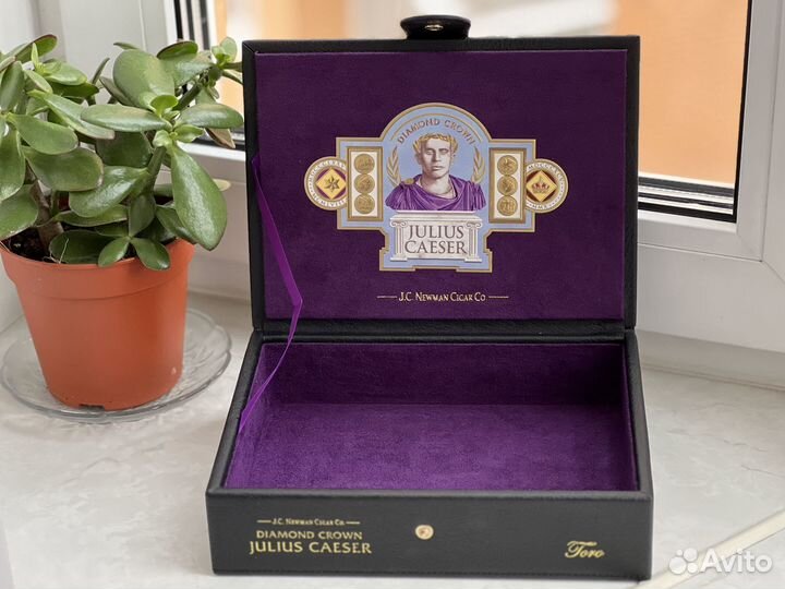 Коробка для сигар Julius Caeser