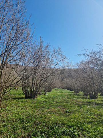 Участок 15 сот. (ИЖС)