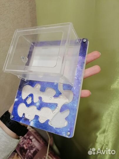 Муравьиная ферма без муравьев