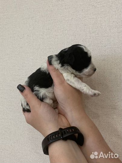 Раннее бронирование