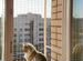 Балкон для кошки