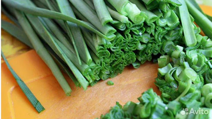 Душистый зелен. лук Джусай