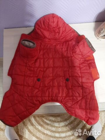 Одежда для собак