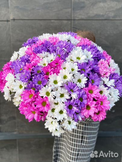 Хризантема (ромашки) цветы букет доставка