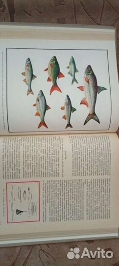 Настольная книга рыболова 1971г