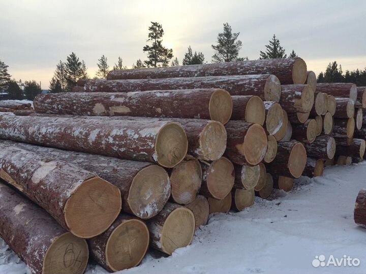 Продам лес кругляк лиственница