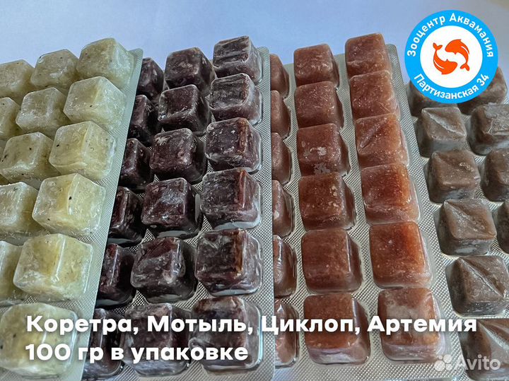 Замороженный корм для рыб и черепах