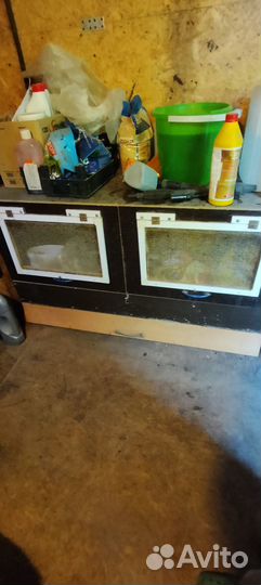 Клетки для перепелов бу