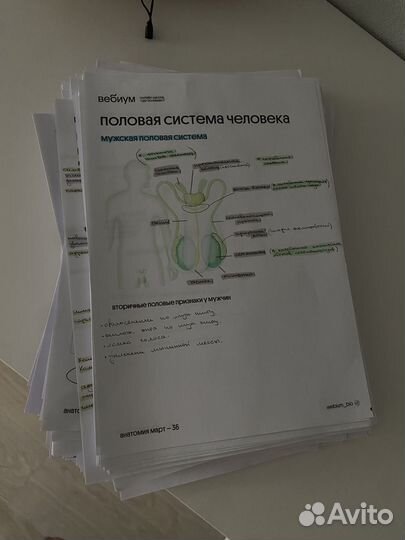 Конспекты Вебиум