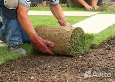 Газон рулонный гарантия