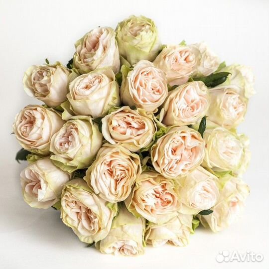 Букет из пионовидных роз «Гарден»