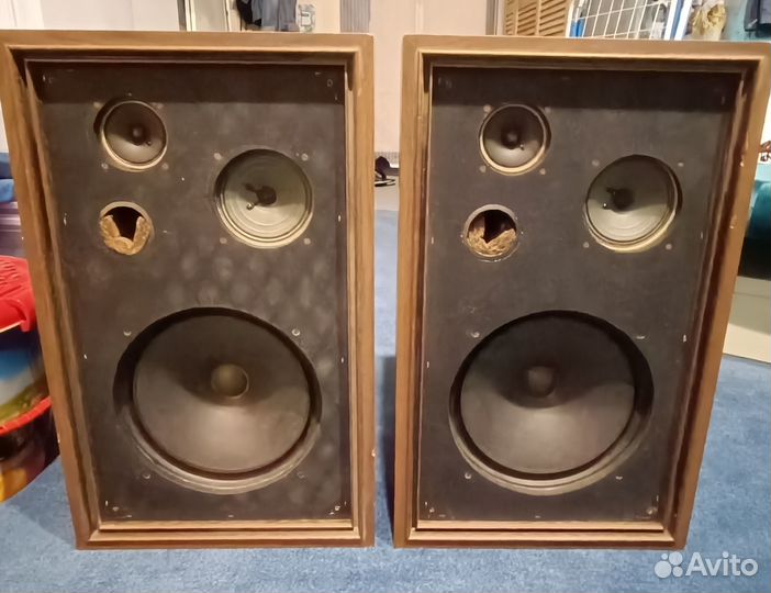 Coral BX-1005 с доставкой