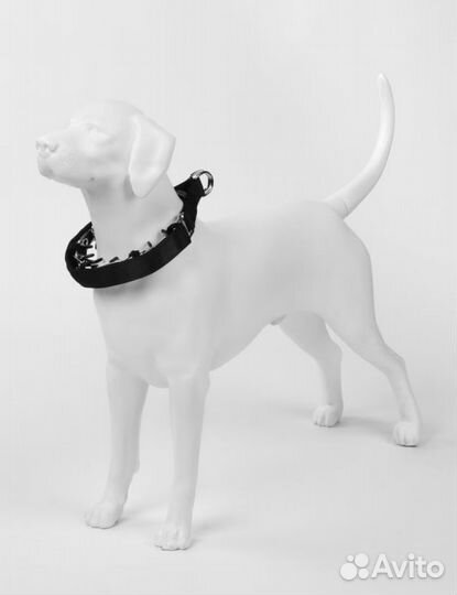 Ошейник строгий для собак