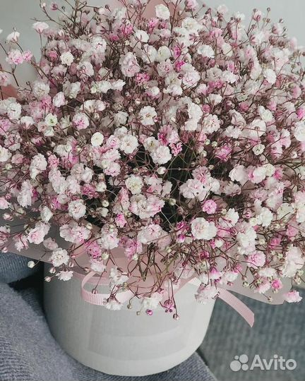 Гипсофила в коробке с доставкой