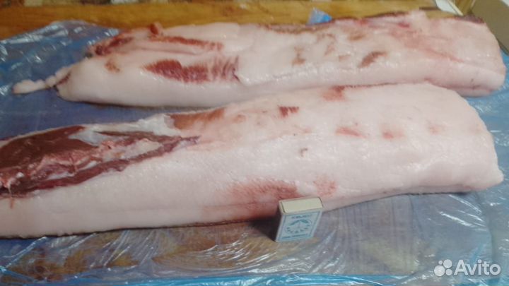 Сало свежее