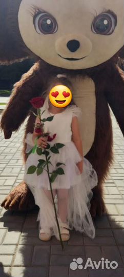 101 роза, 51 роза, 31 роза, 25 роз, большие букеты