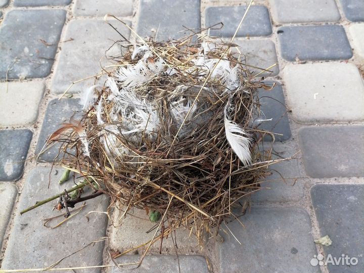 Аксессуар для интерьера