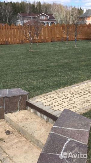 Рулонный газон