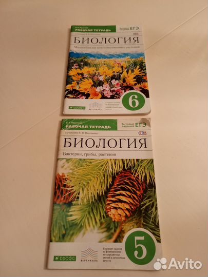Учебные пособия для- 5 класса